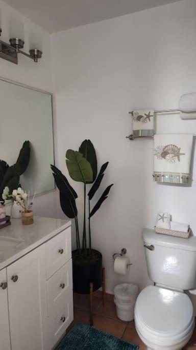 Fall In Love To Endless Summer. Charm And Private Apartman Loiza Kültér fotó